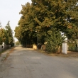 Dnes ji� vzrostl� l�py