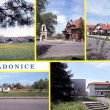 Obec Radonice