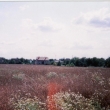 Je�t� v roce 1998 zde bylo jenom pole (foto S.Svoboda)