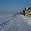 Cesta v zimě roku 2006
